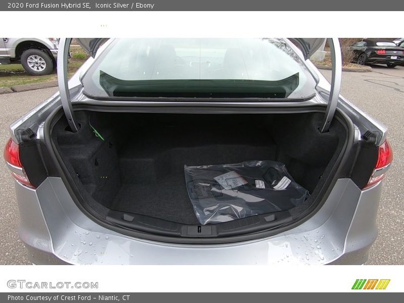 Iconic Silver / Ebony 2020 Ford Fusion Hybrid SE