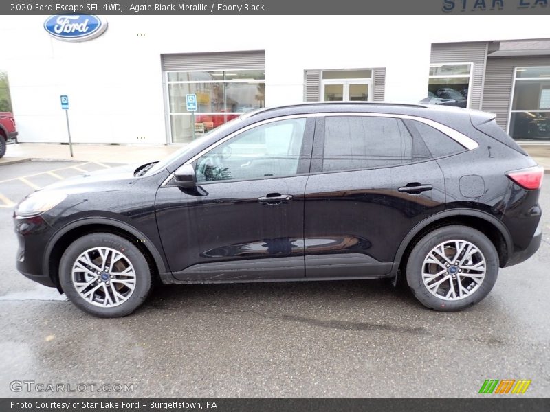 Agate Black Metallic / Ebony Black 2020 Ford Escape SEL 4WD