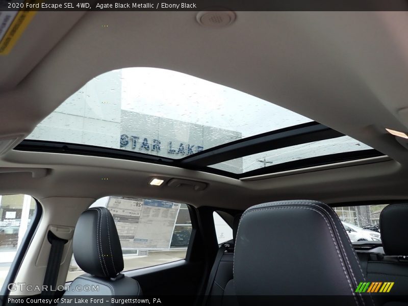 Agate Black Metallic / Ebony Black 2020 Ford Escape SEL 4WD