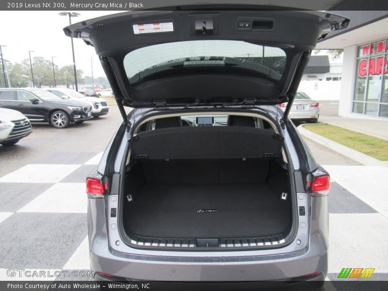 Mercury Gray Mica / Black 2019 Lexus NX 300