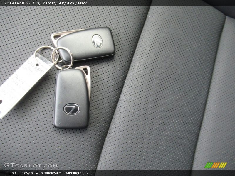 Mercury Gray Mica / Black 2019 Lexus NX 300