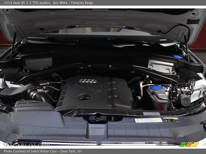 Ibis White / Pistachio Beige 2014 Audi Q5 2.0 TFSI quattro