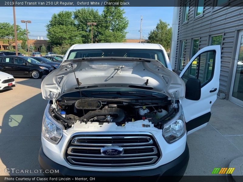 Oxford White / Charcoal black 2019 Ford Transit Van 250 LR Regular