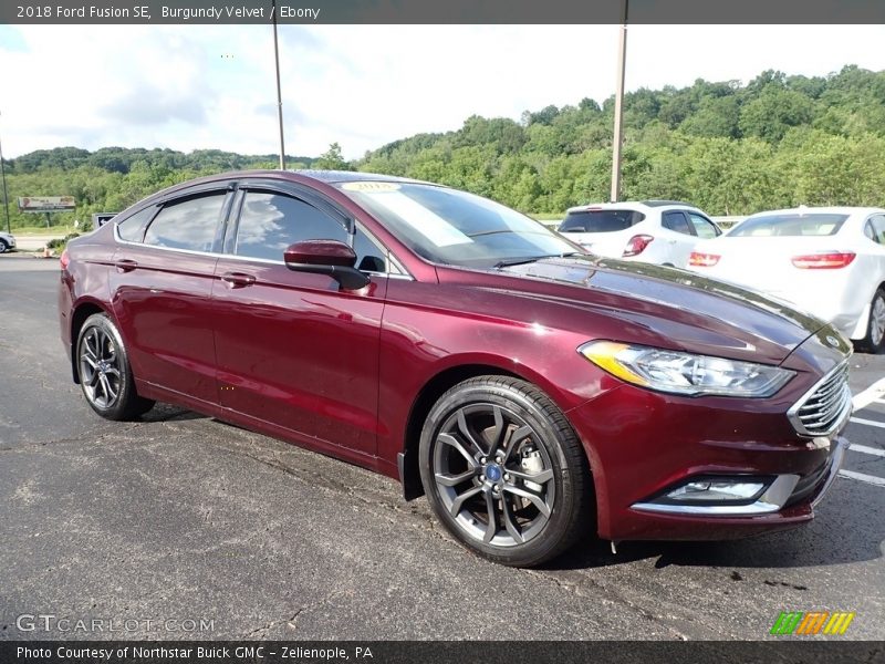 Burgundy Velvet / Ebony 2018 Ford Fusion SE