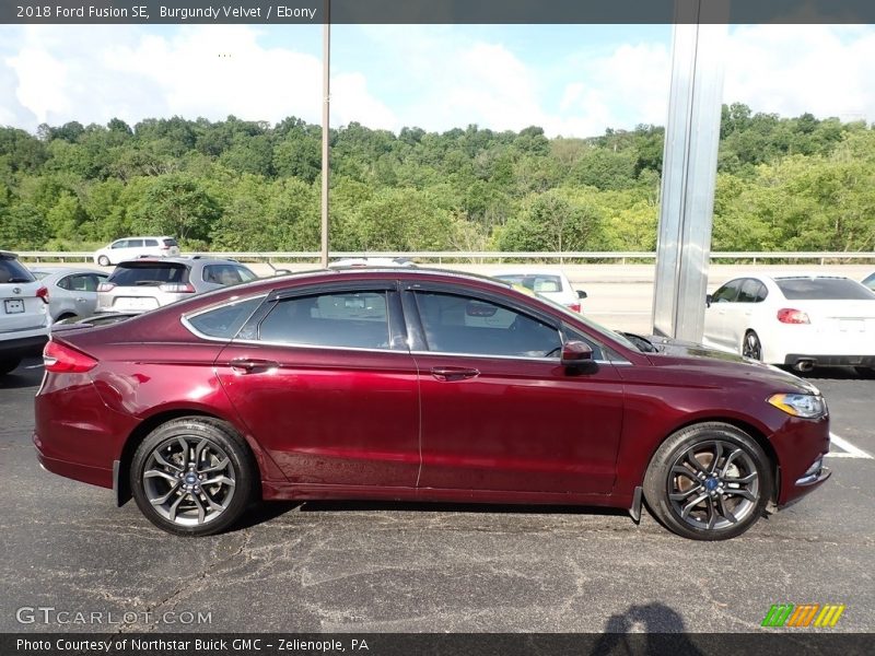 Burgundy Velvet / Ebony 2018 Ford Fusion SE