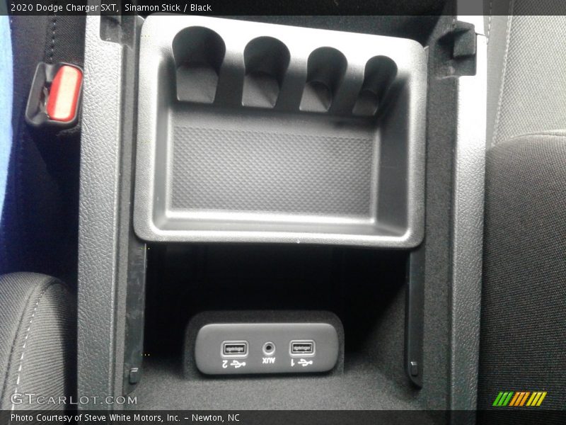 Sinamon Stick / Black 2020 Dodge Charger SXT