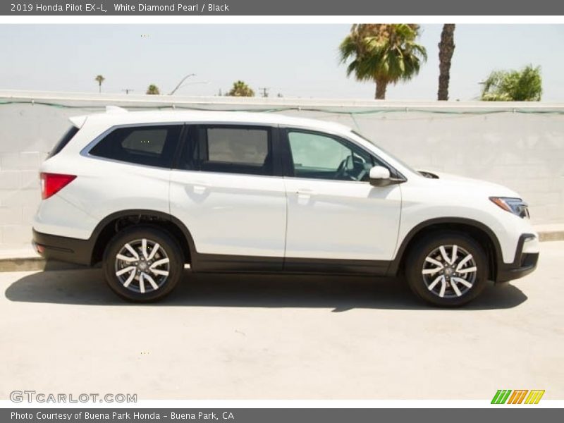 White Diamond Pearl / Black 2019 Honda Pilot EX-L