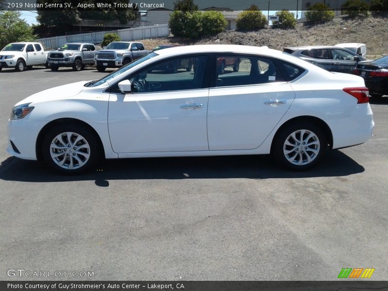 Aspen White Tricoat / Charcoal 2019 Nissan Sentra SV