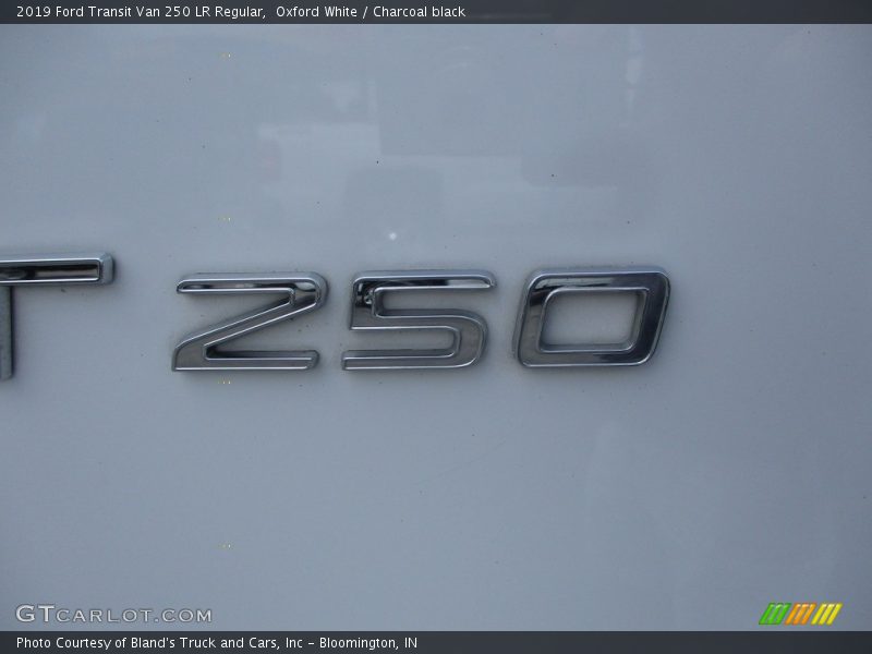 Oxford White / Charcoal black 2019 Ford Transit Van 250 LR Regular