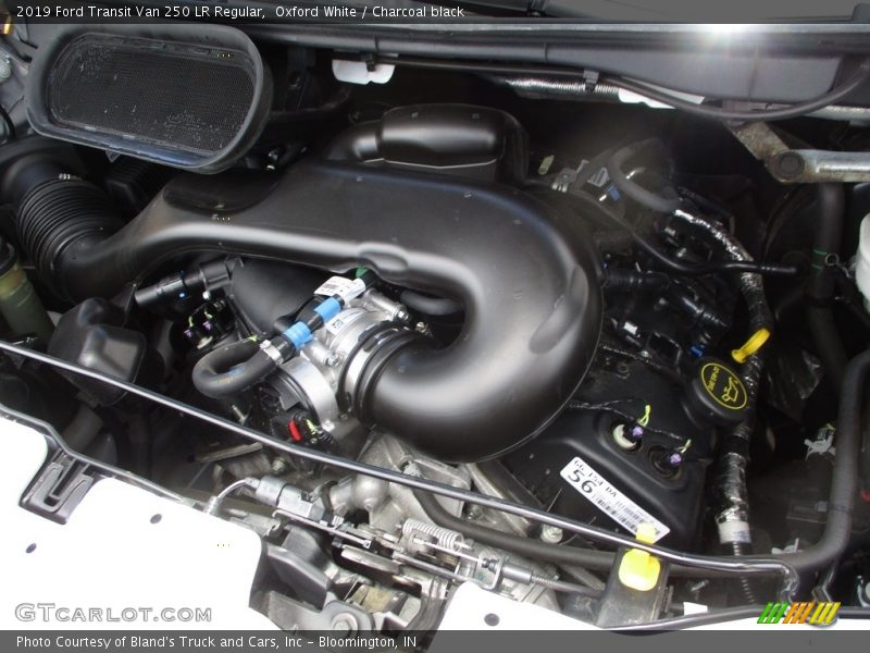Oxford White / Charcoal black 2019 Ford Transit Van 250 LR Regular