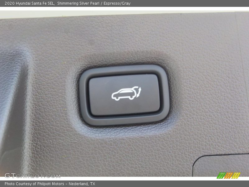 Shimmering Silver Pearl / Espresso/Gray 2020 Hyundai Santa Fe SEL