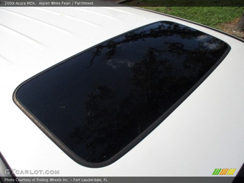 Aspen White Pearl / Parchment 2009 Acura MDX