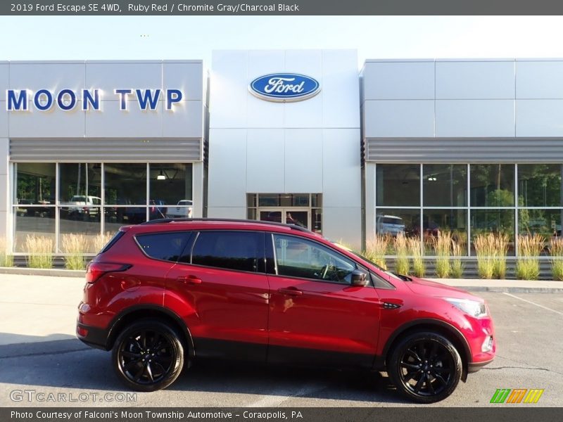 Ruby Red / Chromite Gray/Charcoal Black 2019 Ford Escape SE 4WD