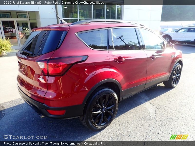 Ruby Red / Chromite Gray/Charcoal Black 2019 Ford Escape SE 4WD