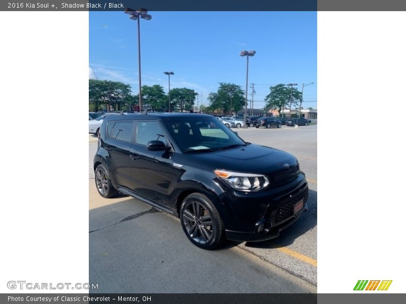 Shadow Black / Black 2016 Kia Soul +