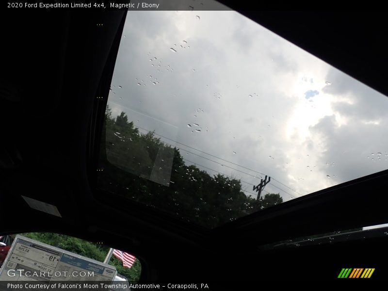 Magnetic / Ebony 2020 Ford Expedition Limited 4x4