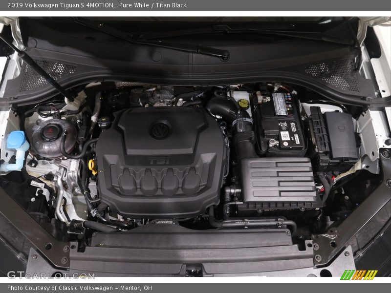 Pure White / Titan Black 2019 Volkswagen Tiguan S 4MOTION