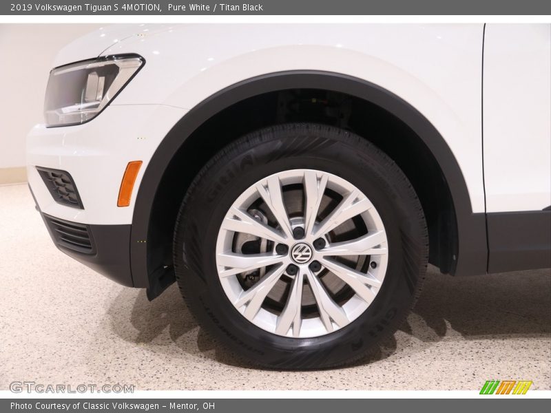 Pure White / Titan Black 2019 Volkswagen Tiguan S 4MOTION