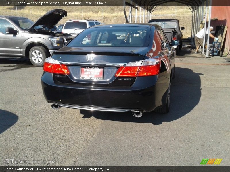 Crystal Black Pearl / Black 2014 Honda Accord Sport Sedan