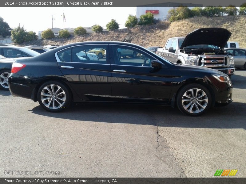 Crystal Black Pearl / Black 2014 Honda Accord Sport Sedan