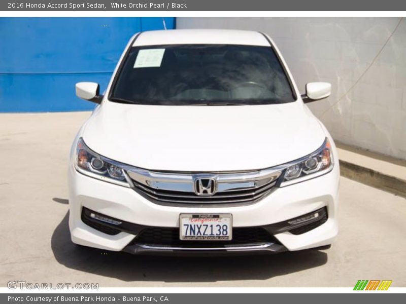 White Orchid Pearl / Black 2016 Honda Accord Sport Sedan