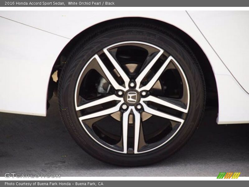 White Orchid Pearl / Black 2016 Honda Accord Sport Sedan