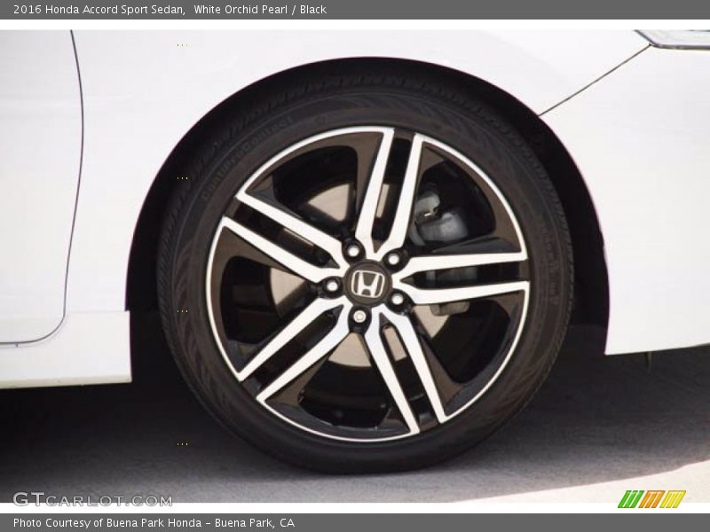 White Orchid Pearl / Black 2016 Honda Accord Sport Sedan