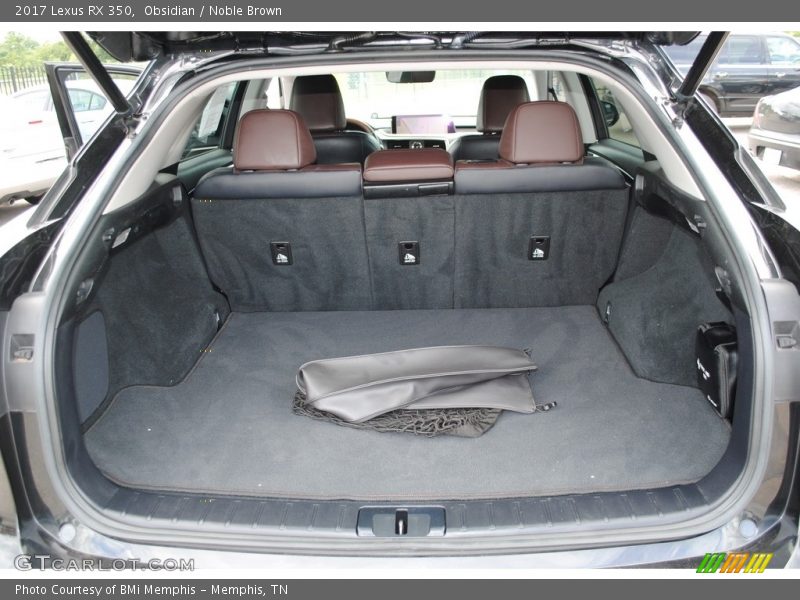  2017 RX 350 Trunk