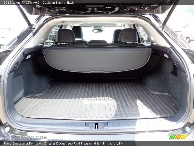  2016 RX 350 AWD Trunk