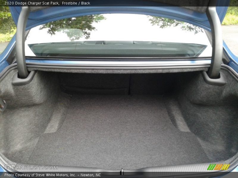Frostbite / Black 2020 Dodge Charger Scat Pack