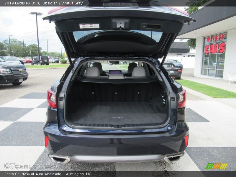 Obsidian / Stratus Gray 2019 Lexus RX 350