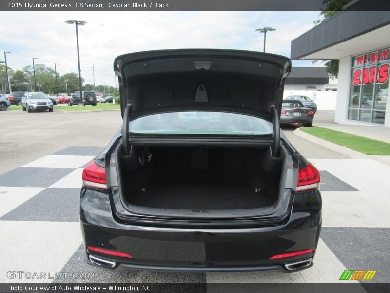 Caspian Black / Black 2015 Hyundai Genesis 3.8 Sedan