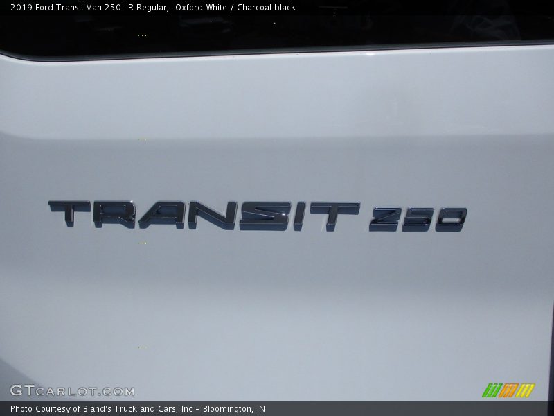 Oxford White / Charcoal black 2019 Ford Transit Van 250 LR Regular