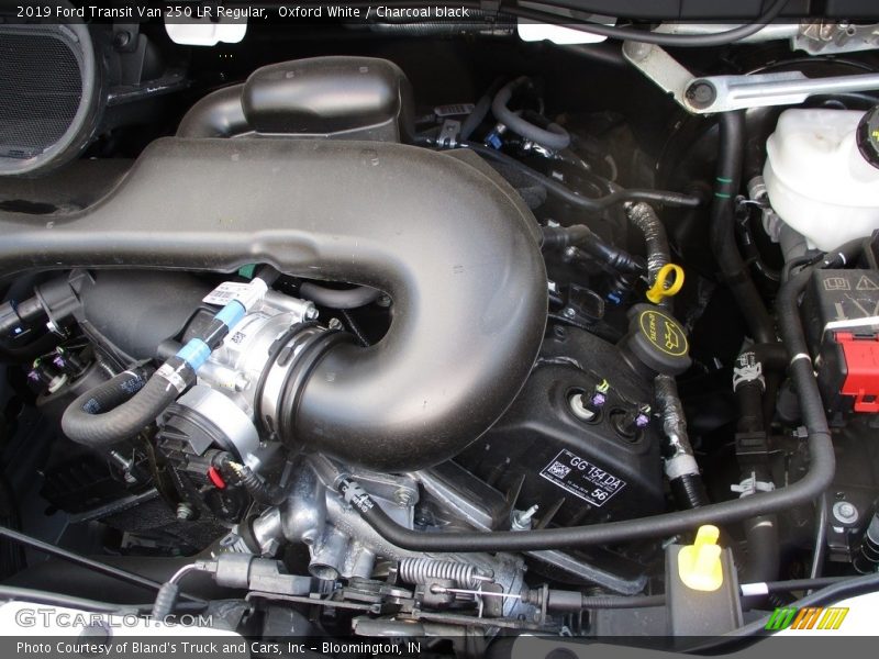 Oxford White / Charcoal black 2019 Ford Transit Van 250 LR Regular