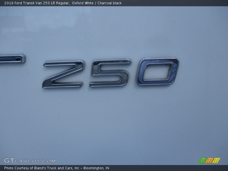 Oxford White / Charcoal black 2019 Ford Transit Van 250 LR Regular