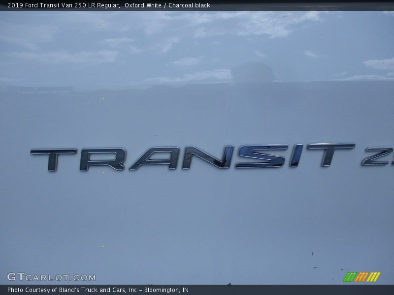 Oxford White / Charcoal black 2019 Ford Transit Van 250 LR Regular