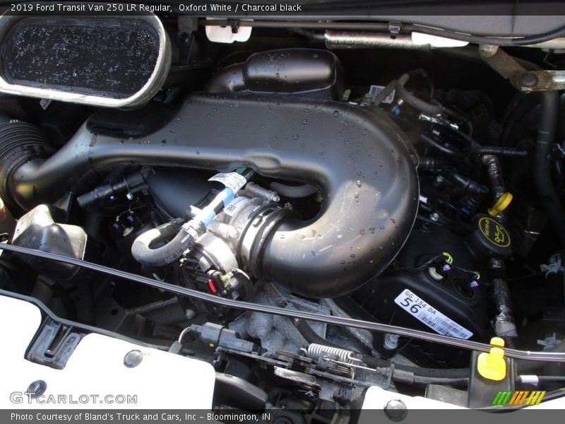 Oxford White / Charcoal black 2019 Ford Transit Van 250 LR Regular