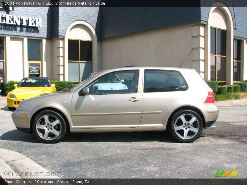 Storm Beige Metallic / Beige 2001 Volkswagen GTI GLS