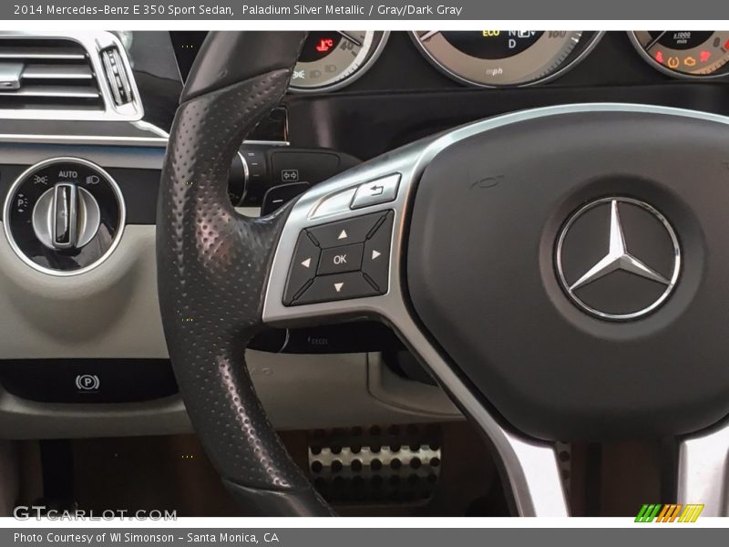 Paladium Silver Metallic / Gray/Dark Gray 2014 Mercedes-Benz E 350 Sport Sedan