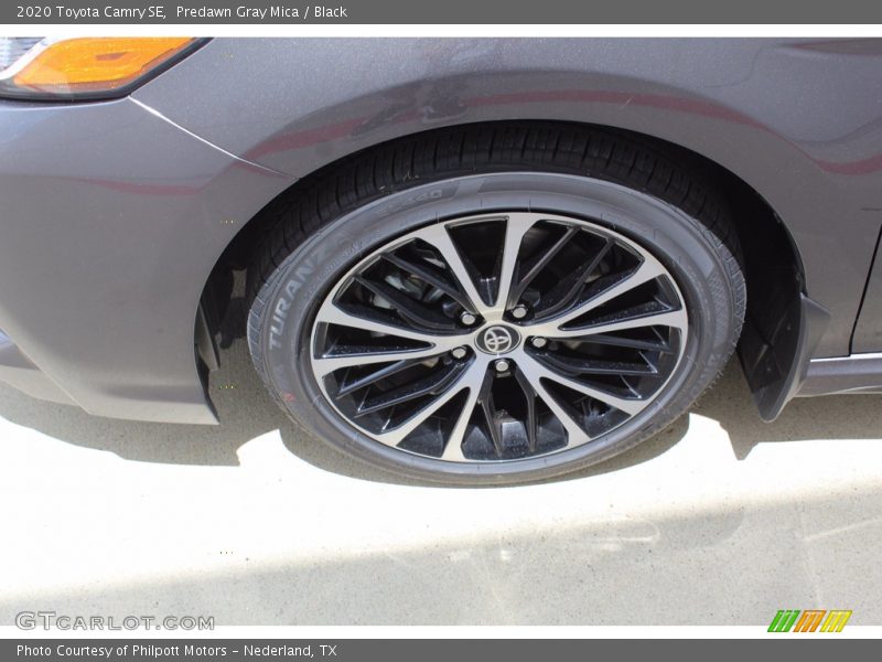 Predawn Gray Mica / Black 2020 Toyota Camry SE