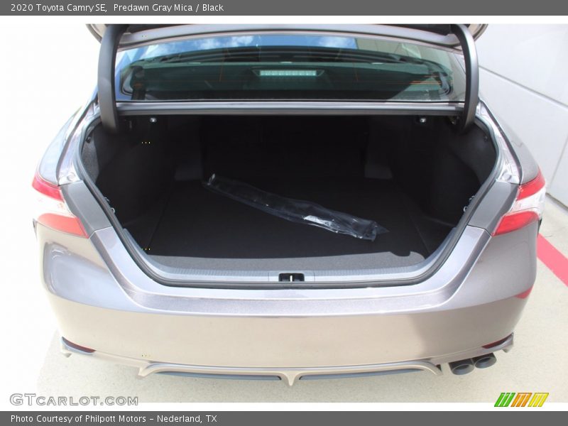 Predawn Gray Mica / Black 2020 Toyota Camry SE