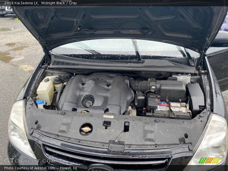 Midnight Black / Gray 2009 Kia Sedona LX