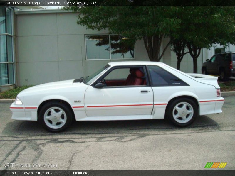 Oxford White / Red 1988 Ford Mustang GT Fastback