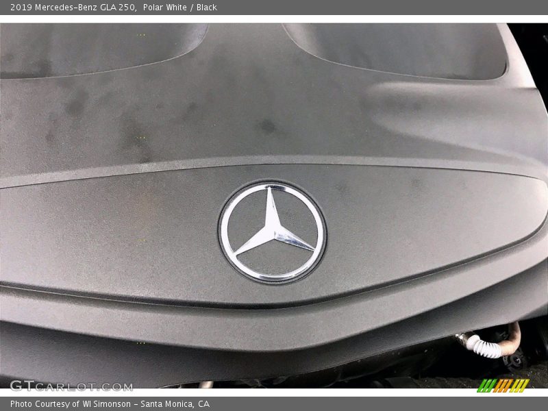 Polar White / Black 2019 Mercedes-Benz GLA 250