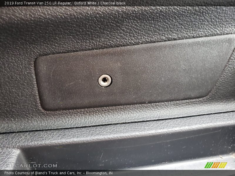 Oxford White / Charcoal black 2019 Ford Transit Van 250 LR Regular