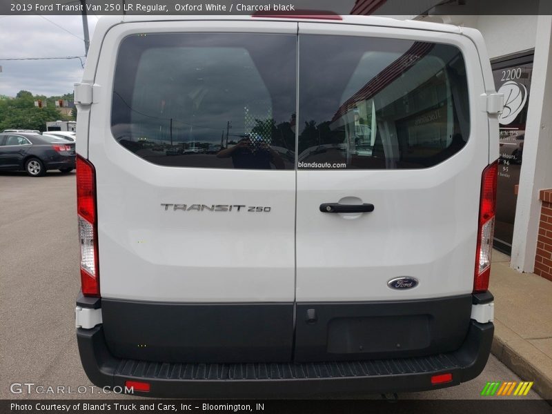 Oxford White / Charcoal black 2019 Ford Transit Van 250 LR Regular