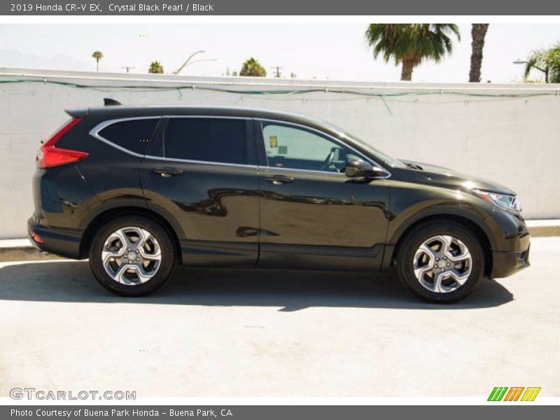 Crystal Black Pearl / Black 2019 Honda CR-V EX