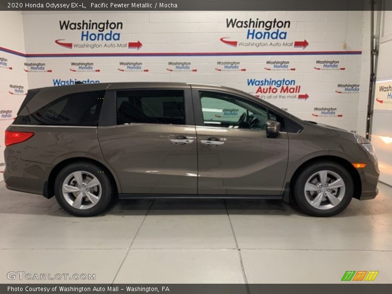 Pacific Pewter Metallic / Mocha 2020 Honda Odyssey EX-L