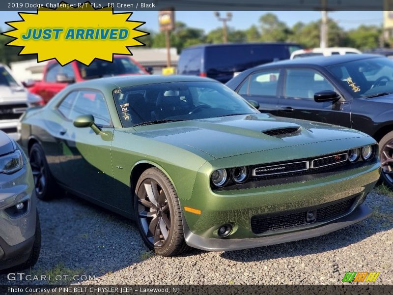 F8 Green / Black 2019 Dodge Challenger R/T Plus