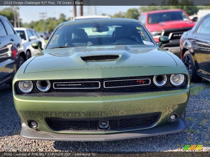 F8 Green / Black 2019 Dodge Challenger R/T Plus